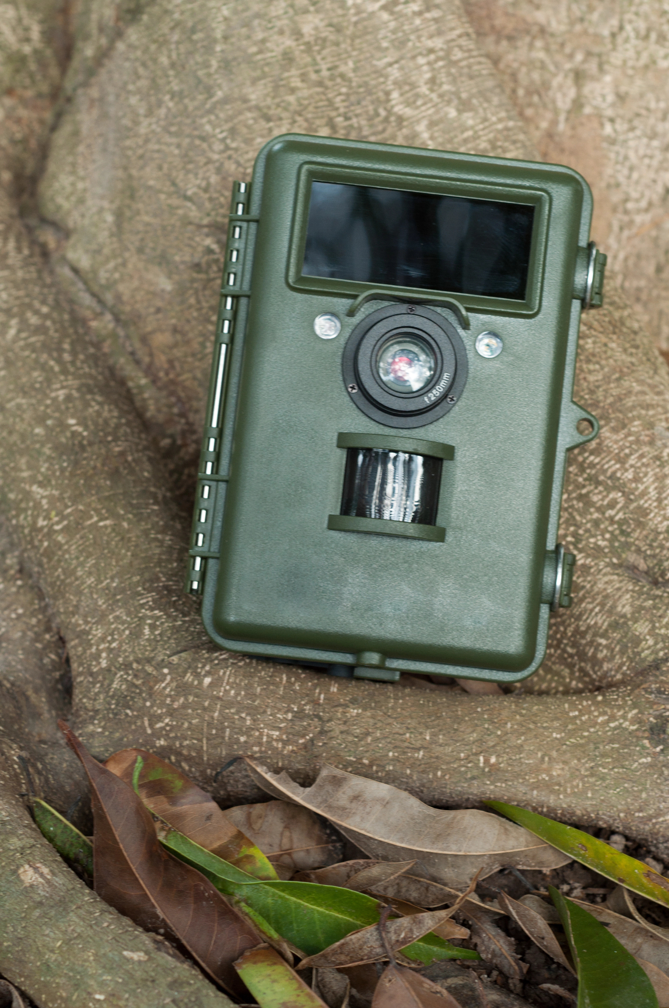 Lovska kamera mi je razkrila skrivnosti mojega gozda